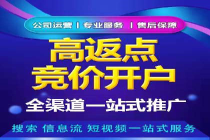 案例研究：信息流广告投放优化