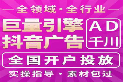 SEM公司案例研究：数据驱动营销策略